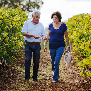 famille buisine vignes du domaine longue tubi en provence vin bio