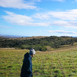 Raphaël Baissas marche dans les vignes de Nada Vandal Wine à Calce dans le Roussillon