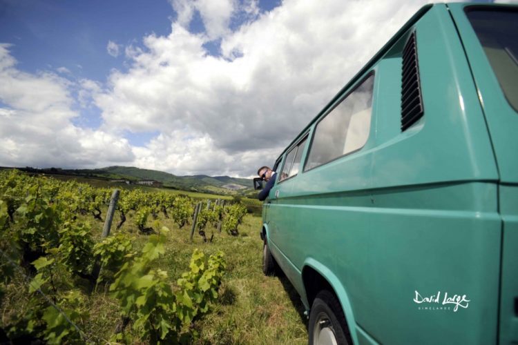 Van de David Large, vigneron de vin nature dans le Beaujolais