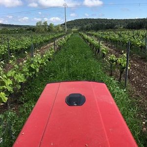 tracteur de françois xavier daure vigneron en vin bio et nature du domaine des lampyres dans le roussillon distribué par l'agence l'envin sur paris ile de france loiret export