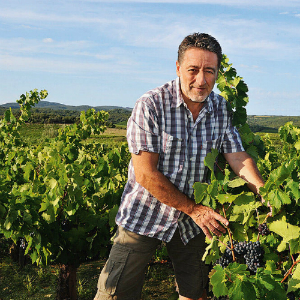 philippe-richy-vigneron-pezenas-languedoc-vin-bio-biodynamie-domaine-stella-nova-300x300 philippe richy stella nova l'envin biodynamic wines agency paris france