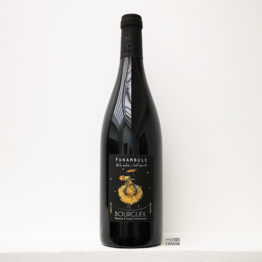 Bouteille de vin rouge bio AOP Bourgueil Funambule 2019 de bertrand et vincent marchesseau vignerons à Bourgueil et distribué par l'envin grossiste à paris ile de france loiret