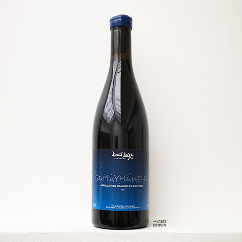 bouteille de la cuvée Gamayhameha 2019, vin rouge de gamay du vigneron David Large dans le beaujolais distribué par L'envin agent et grossiste en vin bio et nature sur paris ile-de-france loiret