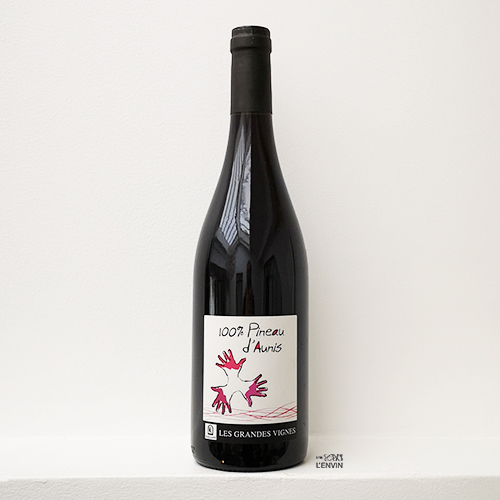 Bouteille de vin rouge 100 % pineau d'aunis 2019 du domaine Les Grandes Vignes de la famille Vaillant dans la Loire, distribué par l'envin agent et grossiste en vin bio et nature sur paris ile de de france loiret