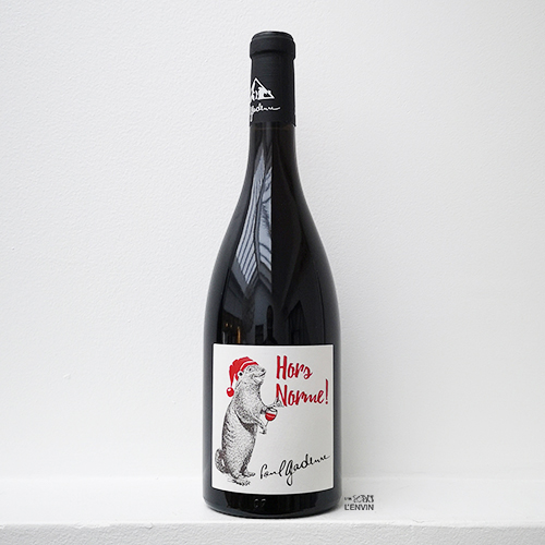 Bouteille de vin rouge Hors norme 2019, du vigneron Paul Gadenne du domaine en agriculture biologique à Chignin en Savoie, distribué par l'envin agent sur paris ile de france loiret lenvin